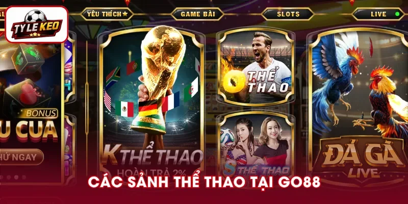 Khám phá các sảnh thể thao nổi bật tại GO88